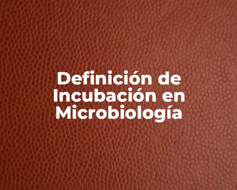 Definición de Incubación en Microbiología