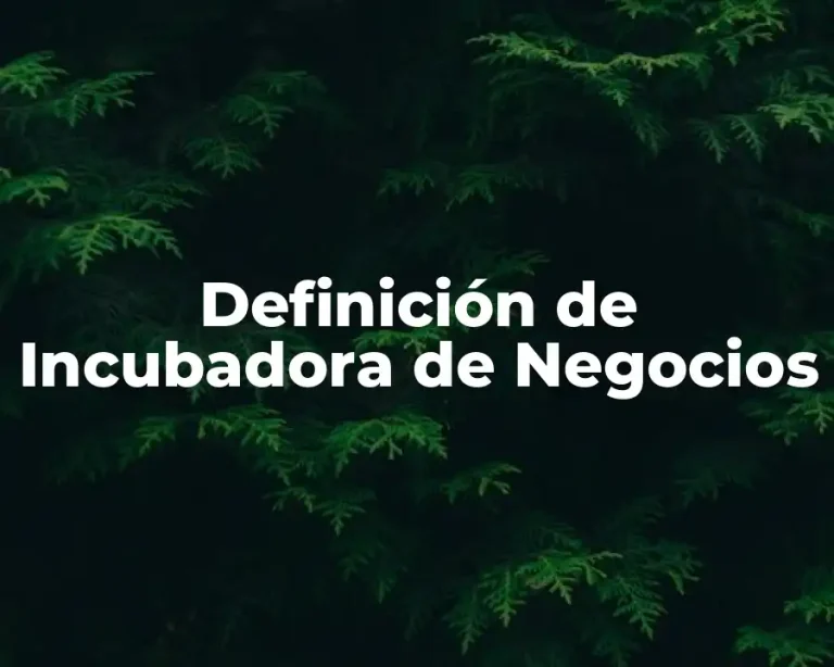 Definición de Incubadora de Negocios