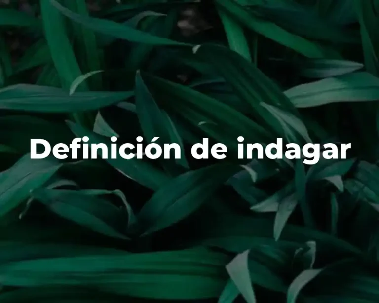 Definición de indagar