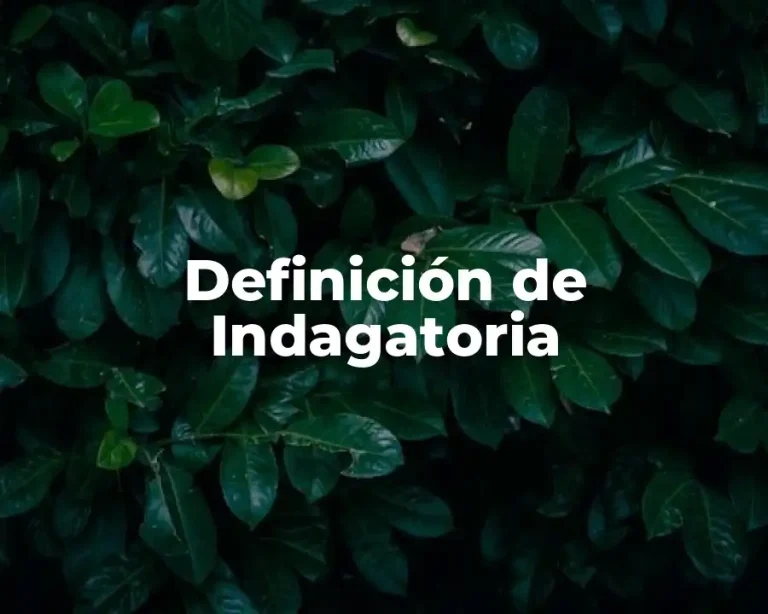 Definición de Indagatoria