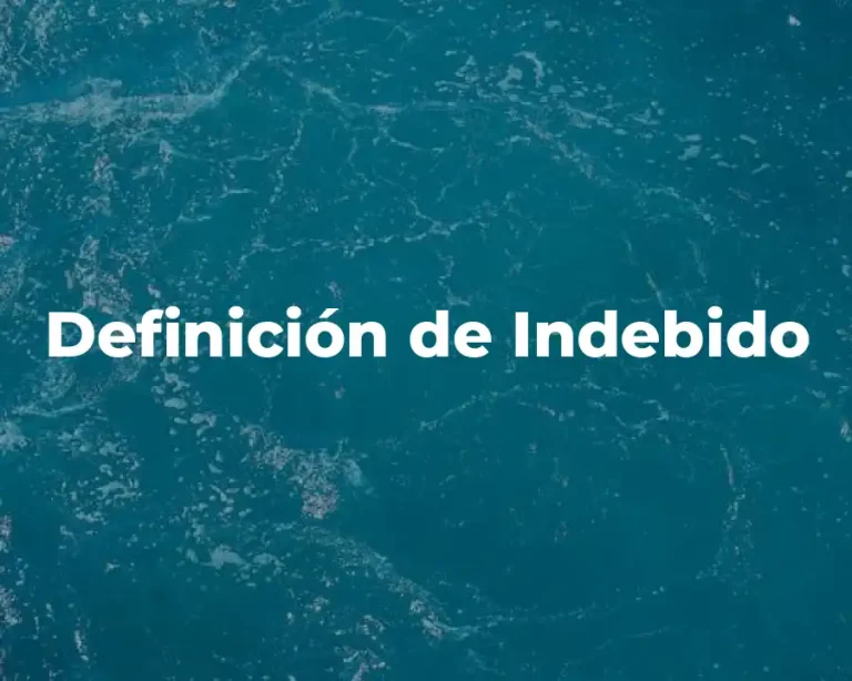 Definición de Indebido