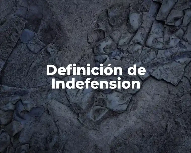 Definición de Indefension