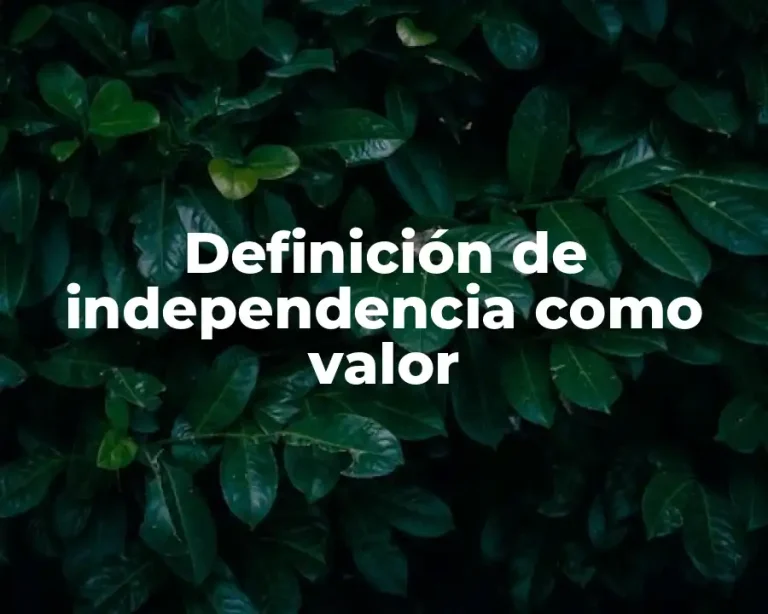Definición de independencia como valor