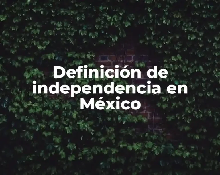 Definición de independencia en México