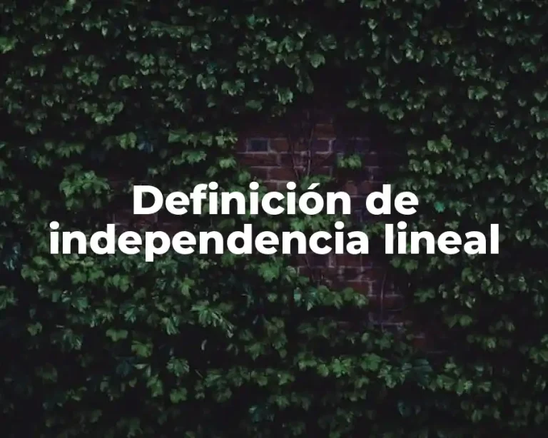 Definición de independencia lineal