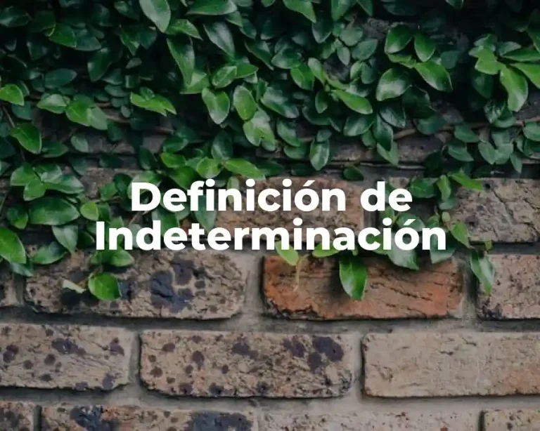 Definición de Indeterminación
