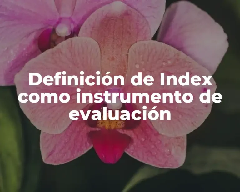 Definición de Index como instrumento de evaluación