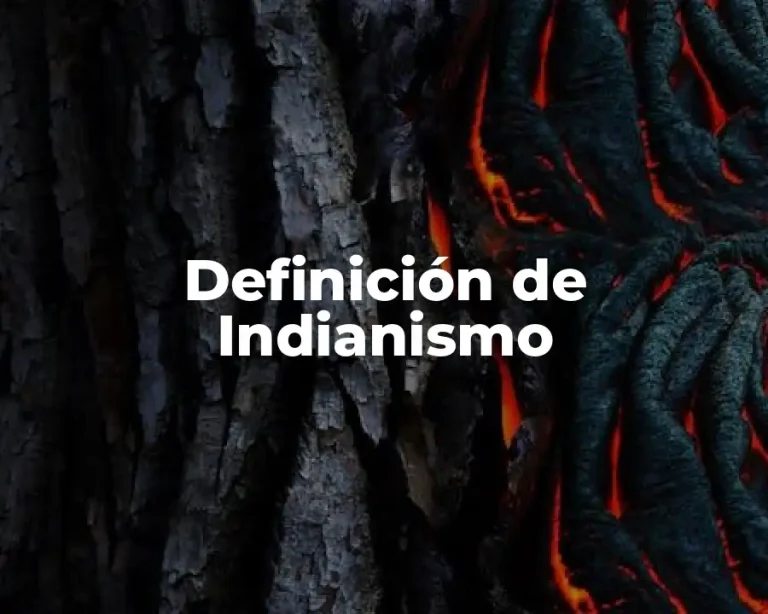 Definición de Indianismo