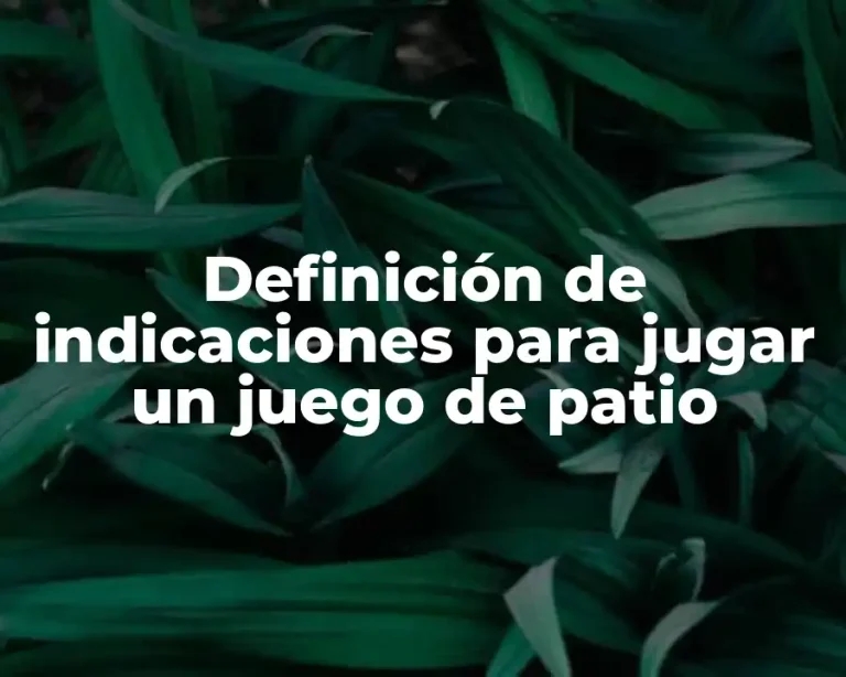 Definición de indicaciones para jugar un juego de patio