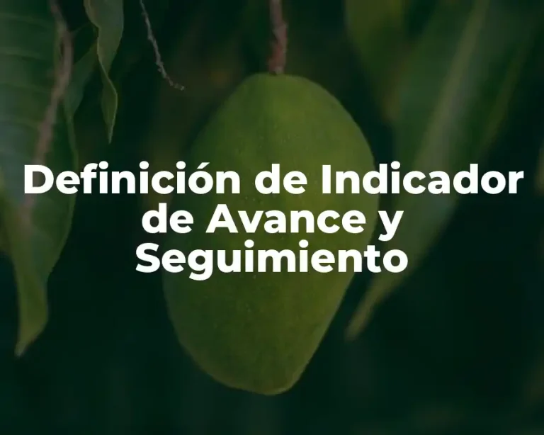 Definición de Indicador de Avance y Seguimiento