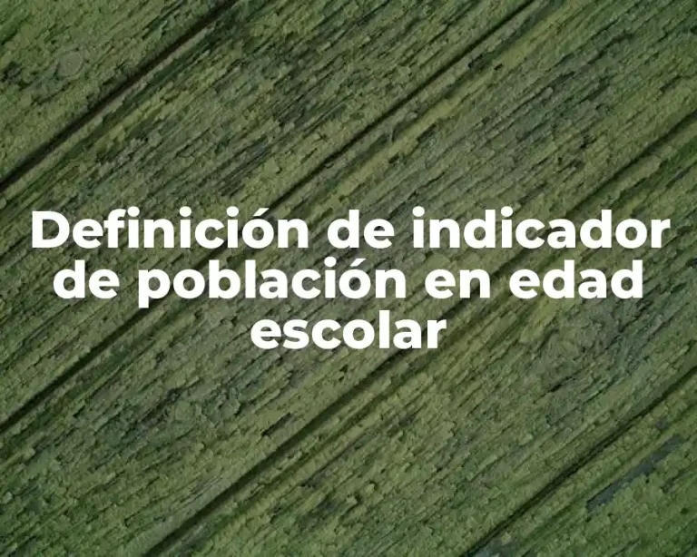Definición de indicador de población en edad escolar