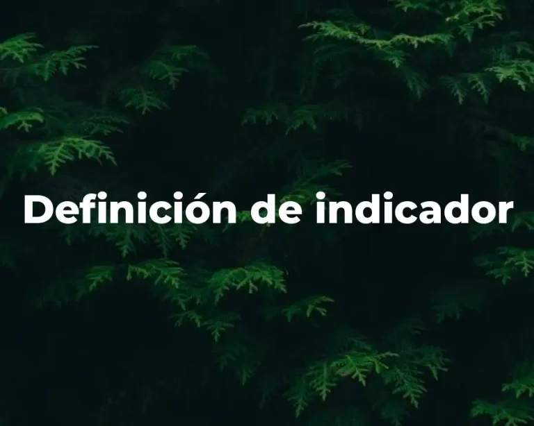 Definición de indicador