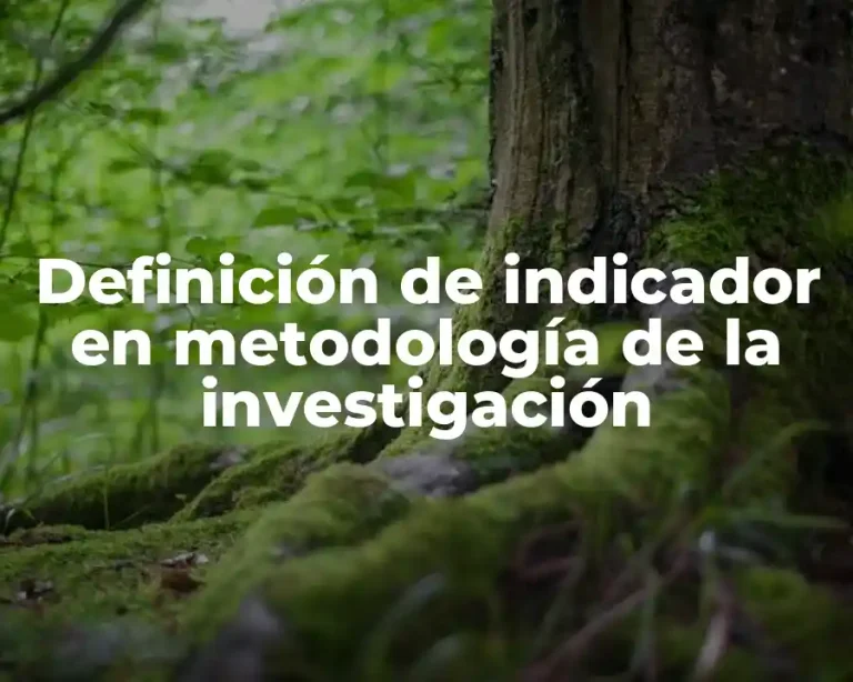 Definición de indicador en metodología de la investigación