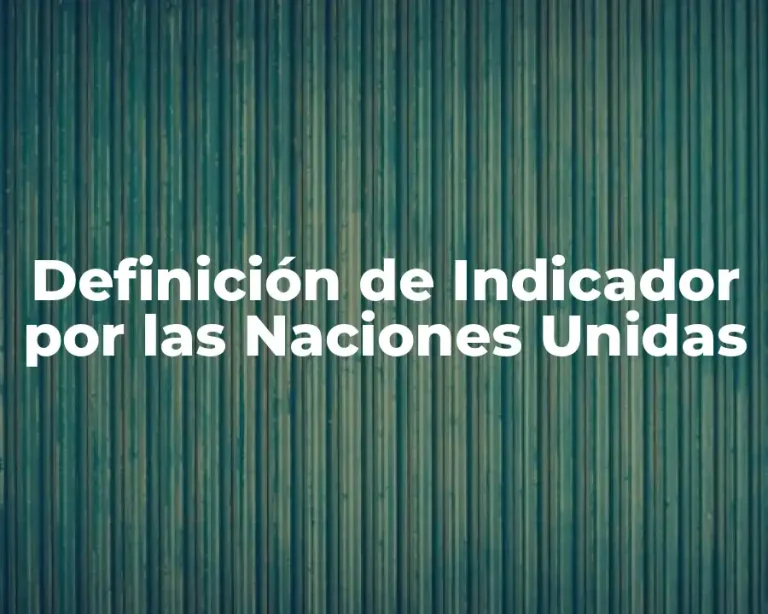 Definición de Indicador por las Naciones Unidas