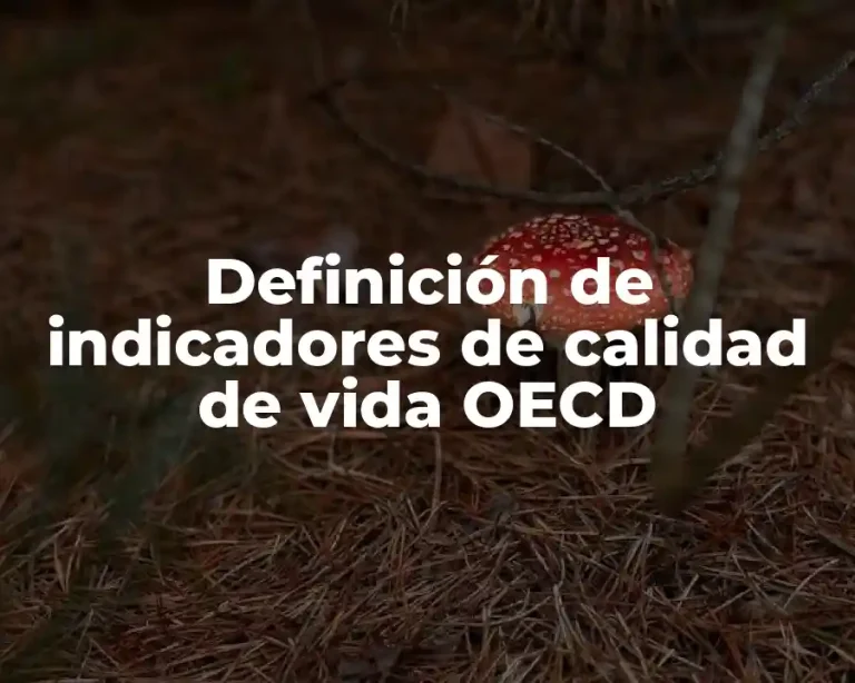Definición de indicadores de calidad de vida OECD