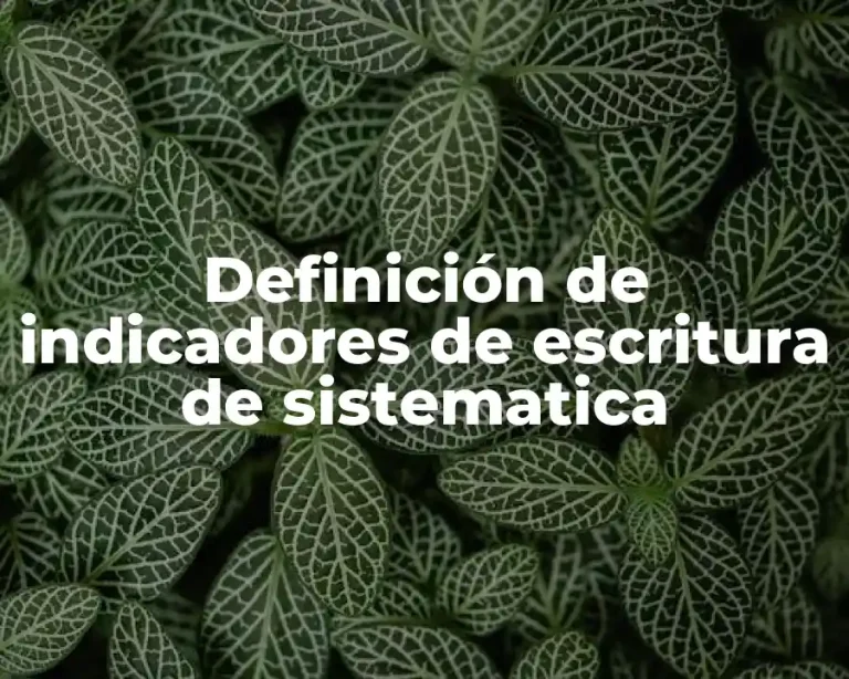 Definición de indicadores de escritura de sistematica