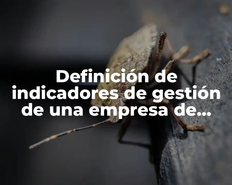 Definición de indicadores de gestión de una empresa de servicios