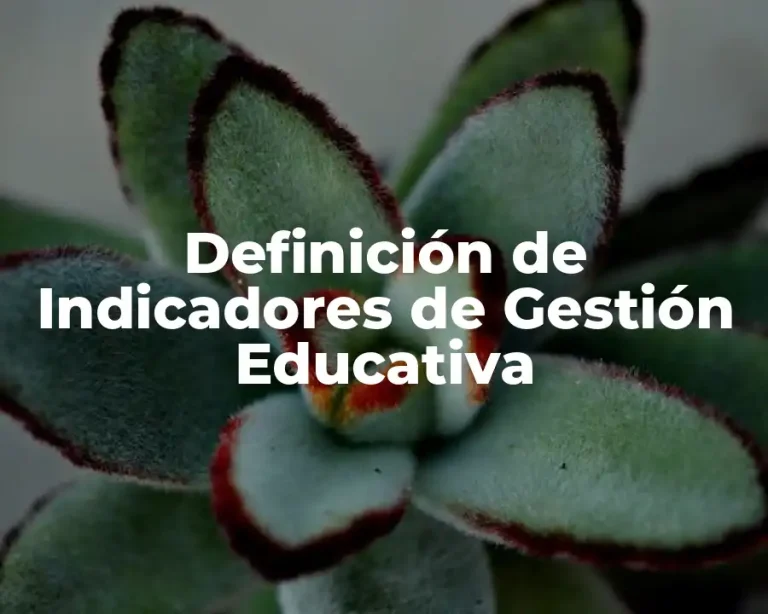 Definición de Indicadores de Gestión Educativa