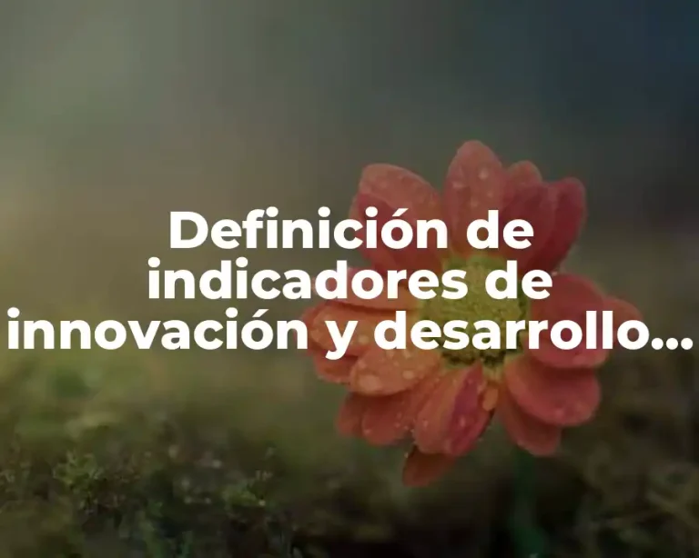 Definición de indicadores de innovación y desarrollo de mercadotecnia