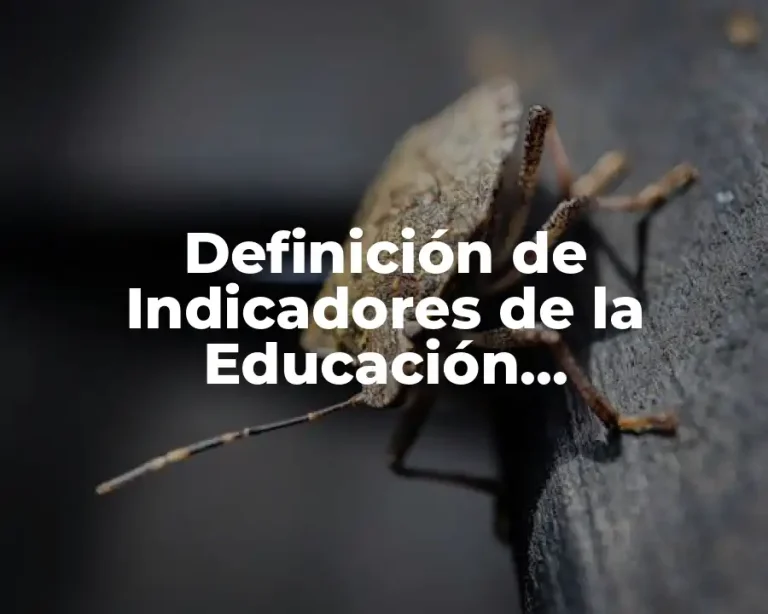 Definición de Indicadores de la Educación Cuantitativos y Cuantitativos