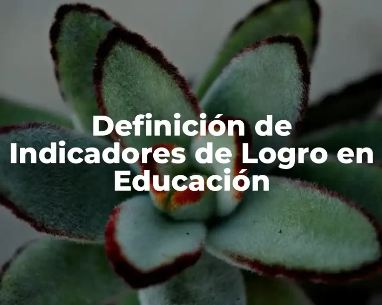 Definición de Indicadores de Logro en Educación