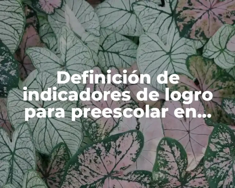 Definición de indicadores de logro para preescolar en educación física