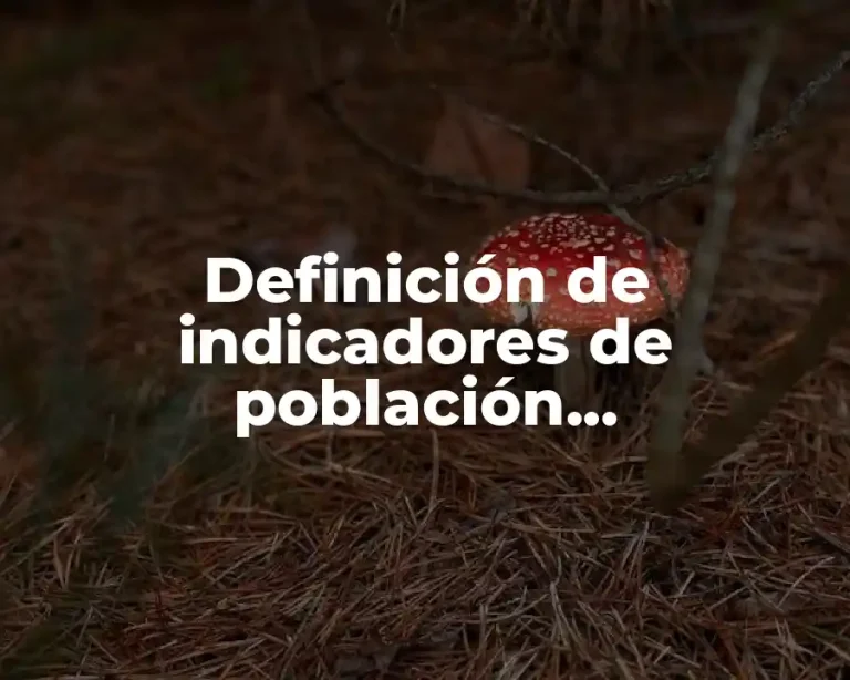 Definición de indicadores de población económicamente inactiva