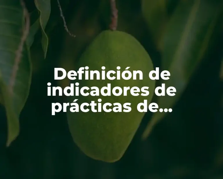 Definición de indicadores de prácticas de sostenibilidad en las empresas