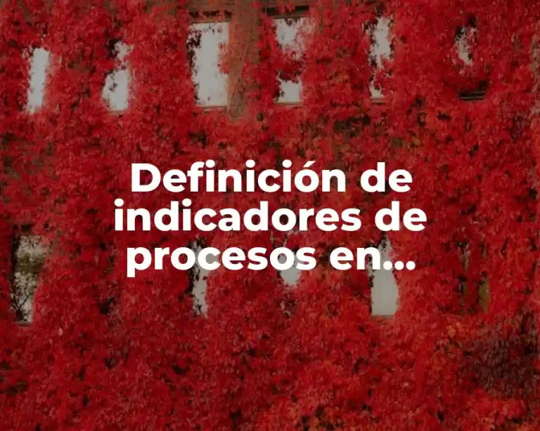 Definición de indicadores de procesos en laboratorios de química