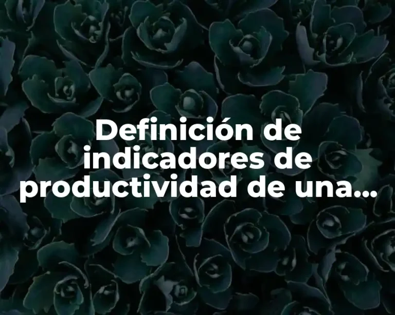 Definición de indicadores de productividad de una empresa de servicios