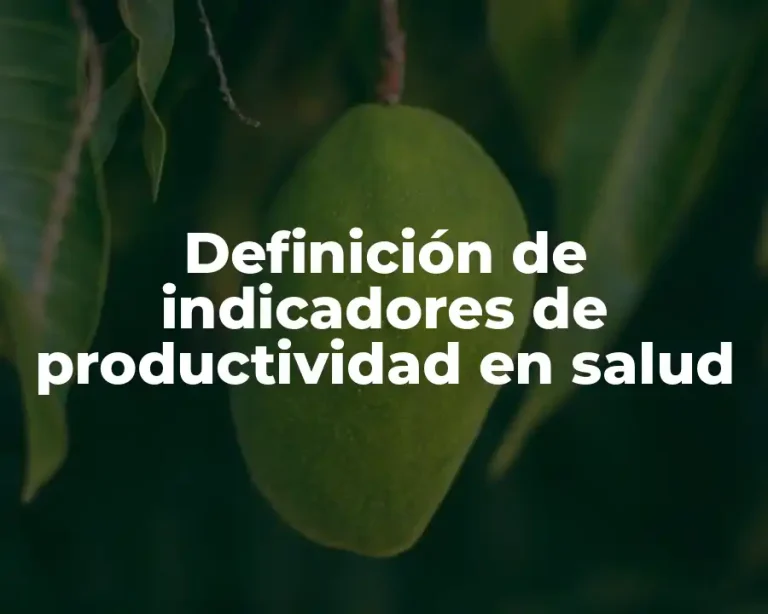 Definición de indicadores de productividad en salud