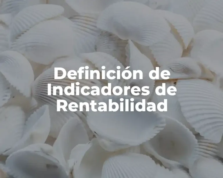 Definición de Indicadores de Rentabilidad