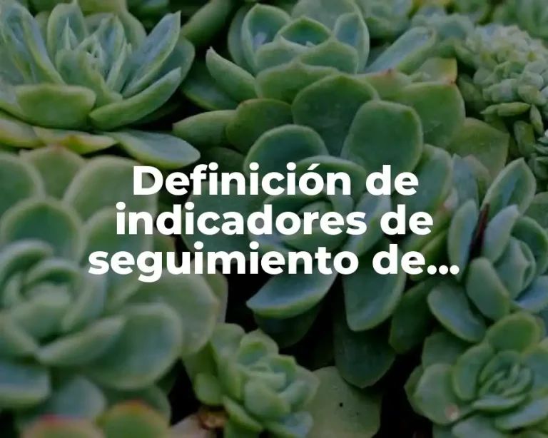 Definición de indicadores de seguimiento de proyectos