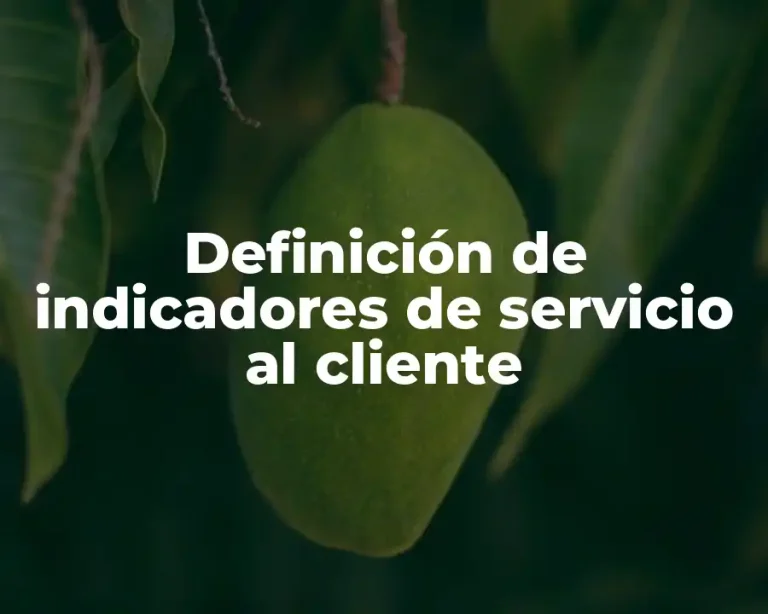 Definición de indicadores de servicio al cliente
