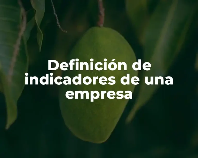 Definición de indicadores de una empresa