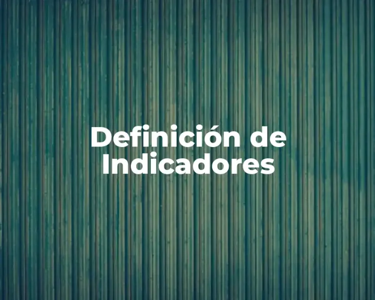 Definición de Indicadores