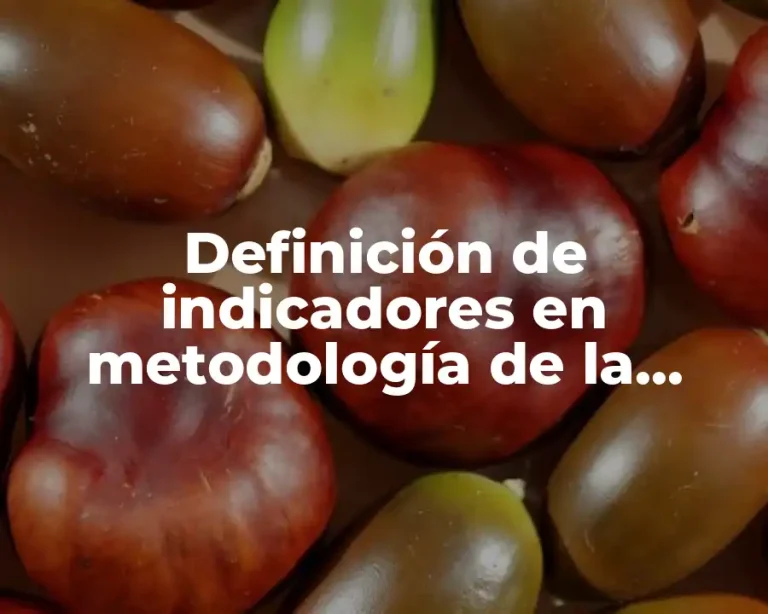 Definición de indicadores en metodología de la investigación