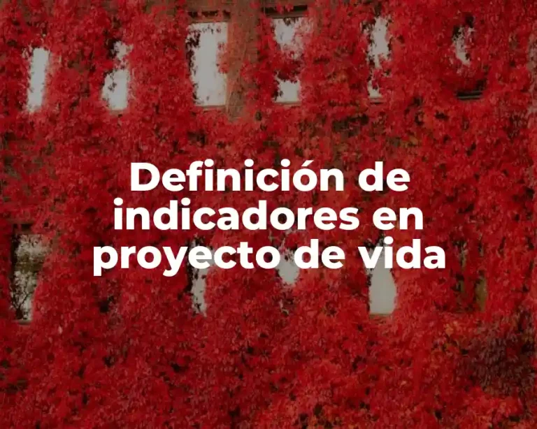 Definición de indicadores en proyecto de vida