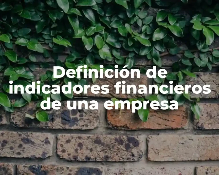 Definición de indicadores financieros de una empresa