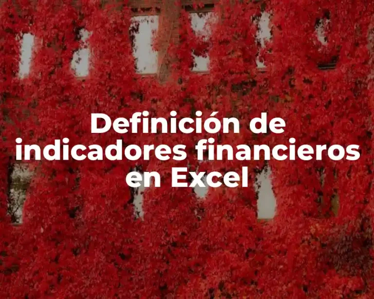 Definición de indicadores financieros en Excel