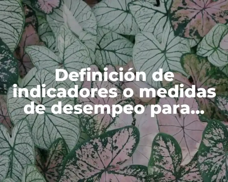 Definición de indicadores o medidas de desempeo para proyectos