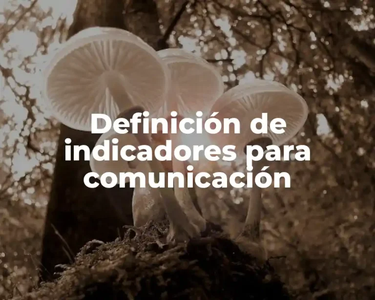 Definición de indicadores para comunicación