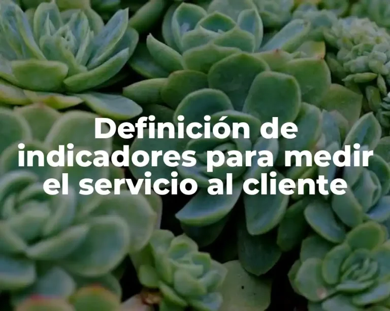 Definición de indicadores para medir el servicio al cliente