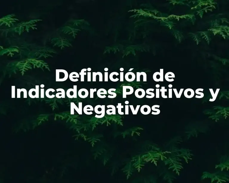 Definición de Indicadores Positivos y Negativos