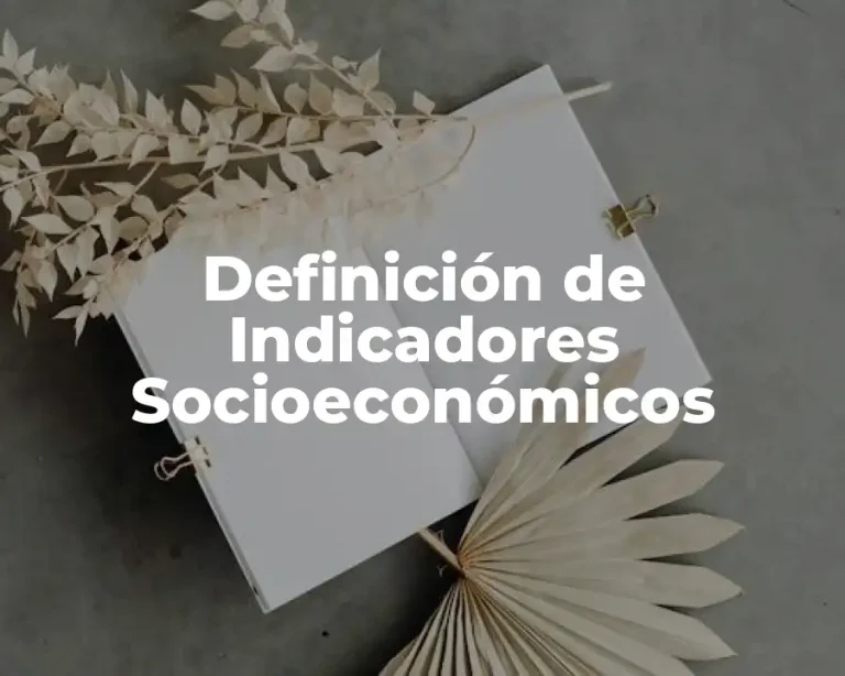 Definición de Indicadores Socioeconómicos