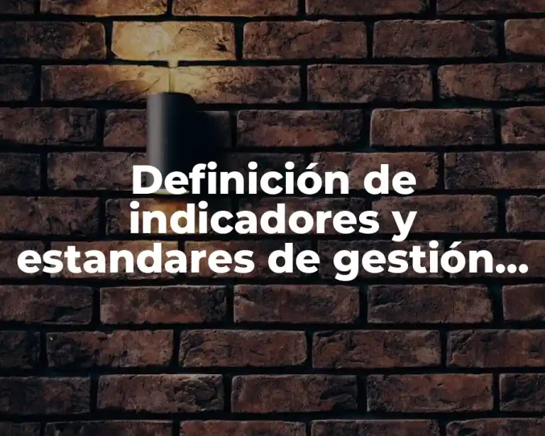 Definición de indicadores y estandares de gestión de mercadeo