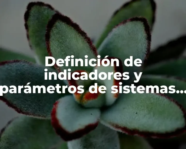 Definición de indicadores y parámetros de sistemas de manufactura