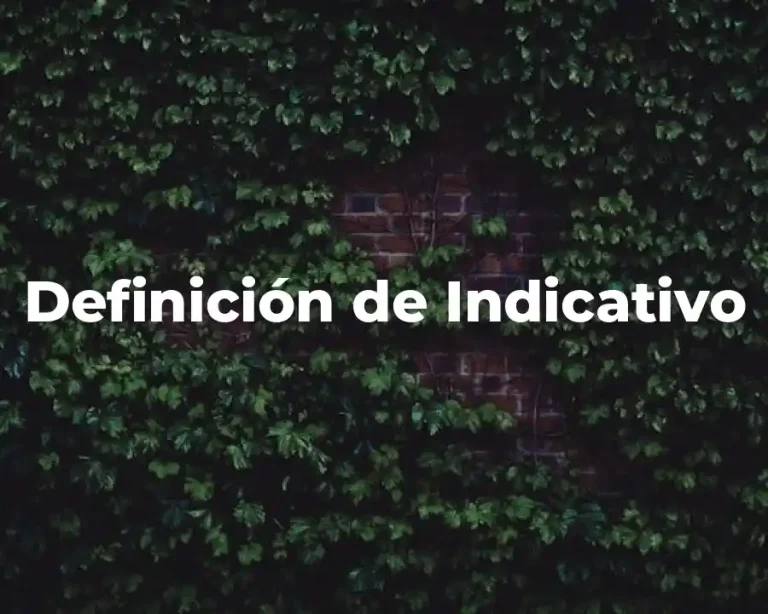 Definición de Indicativo