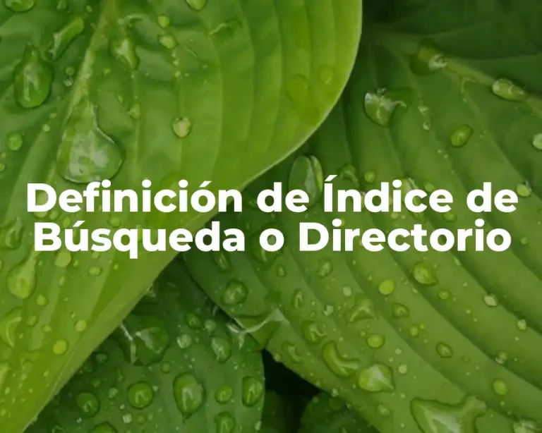 Definición de Índice de Búsqueda o Directorio