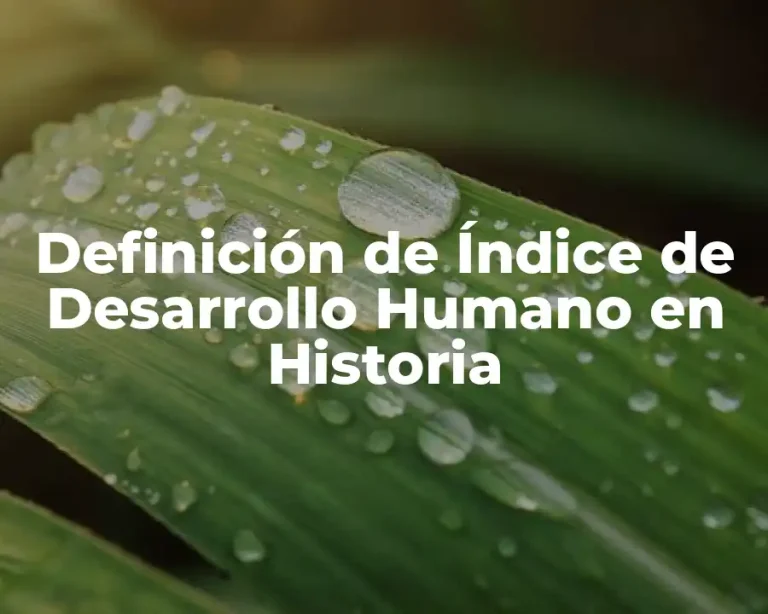 Definición de Índice de Desarrollo Humano en Historia